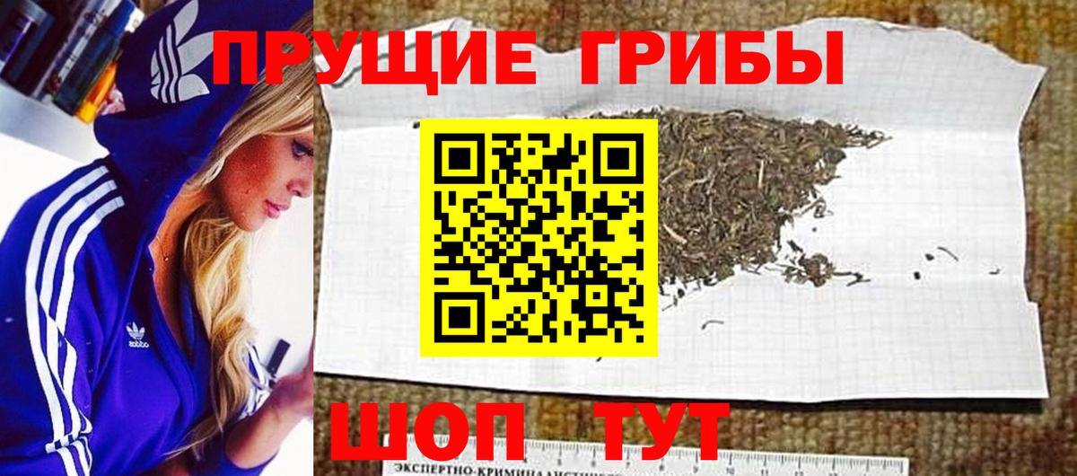 Псилоцибиновые грибы Psilocybine cubensis Будённовск