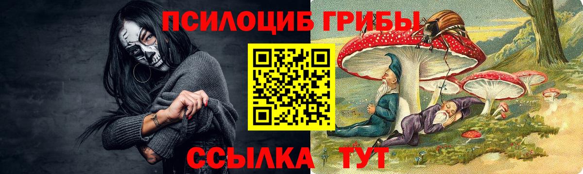 Галлюциногенные грибы GOLDEN TEACHER Будённовск