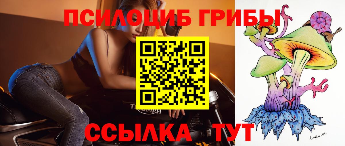 Будённовск  Галлюциногенные грибы Psilocybine cubensis  Вход с VPN 